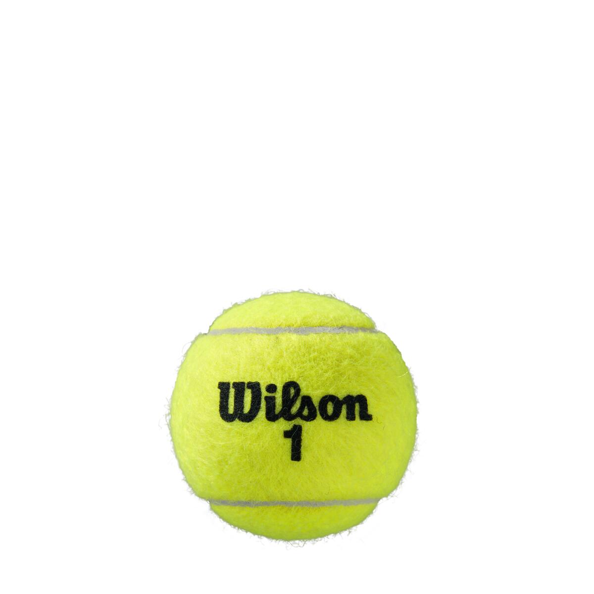 Roland Garros Clay CT 4 Ball