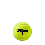 Roland Garros Clay CT 4 Ball
